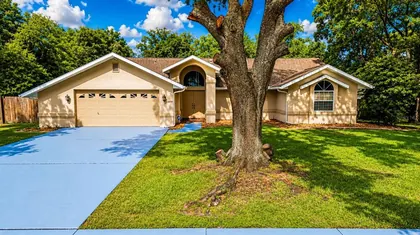 SPRING HILL FL Home