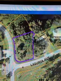 NORTH PORT FL Property