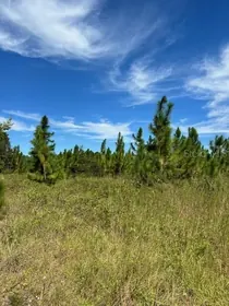 LAKE CITY FL Property