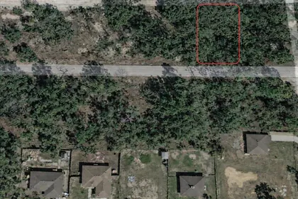 OCKLAWAHA FL Property