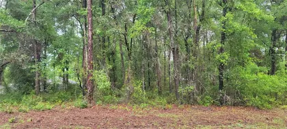 CITRUS SPRINGS FL Property