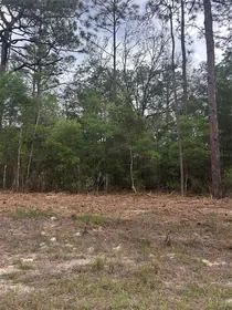 CITRUS SPRINGS FL Property
