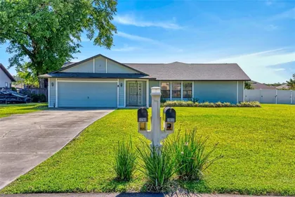 MOUNT DORA FL Home
