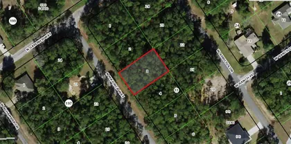 CITRUS SPRINGS FL Property