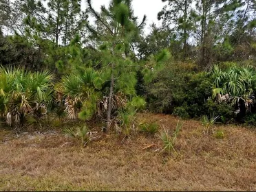 NORTH PORT FL Property