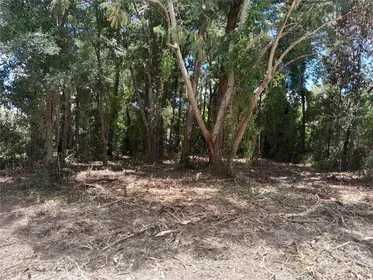 WILLISTON FL Property