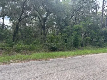 DUNNELLON FL Property