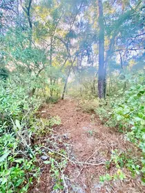 INVERNESS FL Property