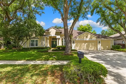 PALM HARBOR FL Home