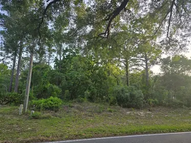 HOMOSASSA FL Property