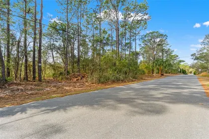 WEEKI WACHEE FL Property