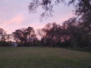 TAMPA FL Property