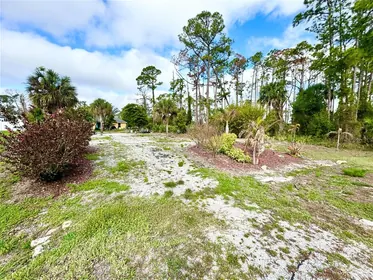 NORTH PORT FL Property