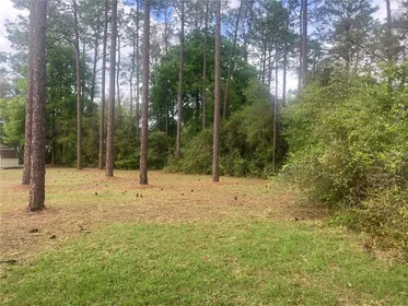 SILVER SPRINGS FL Home