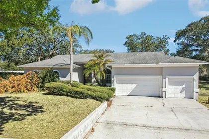 BRANDON FL Home