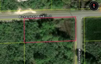 WEBSTER FL Property