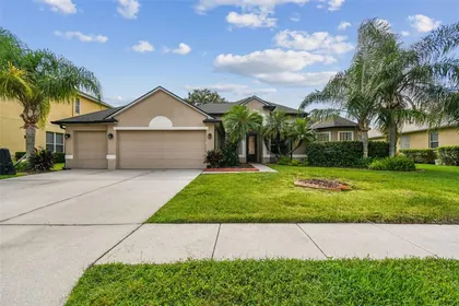 WESLEY CHAPEL FL Home