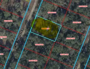 WILLISTON FL Property