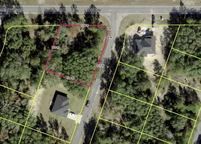 OCKLAWAHA FL Property