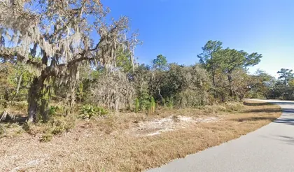 WILDWOOD FL Property