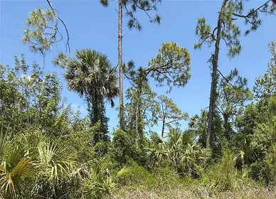 NORTH PORT FL Property