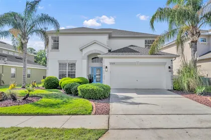MOUNT DORA FL Home