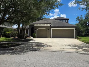 LITHIA FL Home