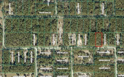 DUNNELLON FL Property