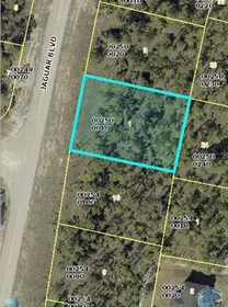 LEHIGH ACRES FL Property