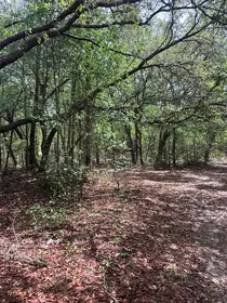 BRONSON FL Property