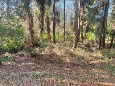 CRYSTAL RIVER FL Property