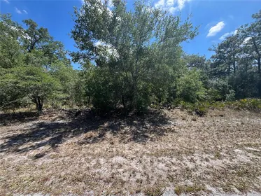 INDIAN LAKE ESTATES FL Property