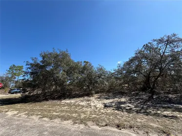 CITRUS SPRINGS FL Property