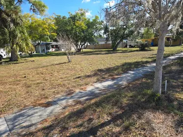 DUNEDIN FL Property