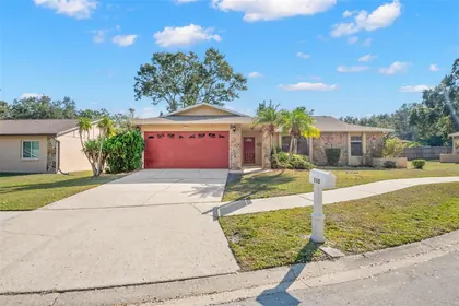 SAFETY HARBOR FL Home