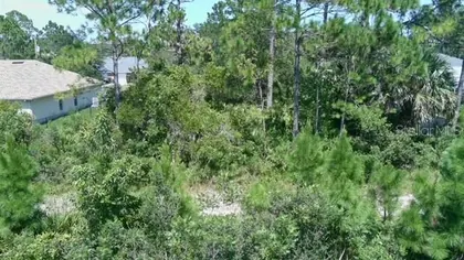 PALM COAST FL Property