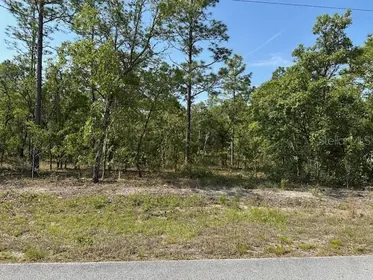 DUNNELLON FL Property