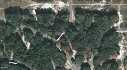 OCKLAWAHA FL Property