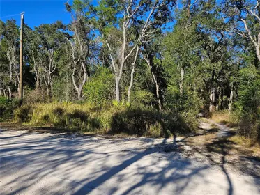 WEBSTER FL Property