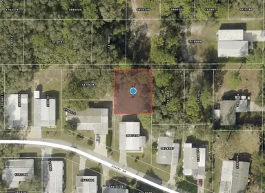 MOUNT DORA FL Property