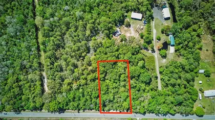MIMS FL Property
