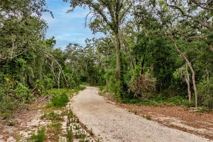 LEESBURG FL Property