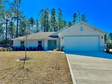 CITRUS SPRINGS FL Home