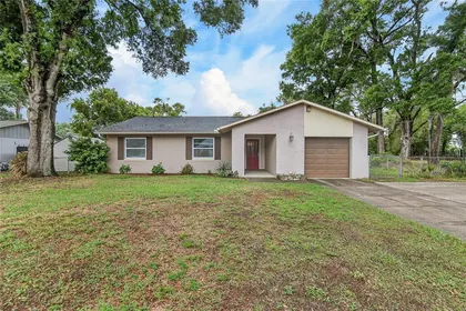 BRANDON FL Home
