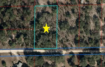 BRONSON FL Property