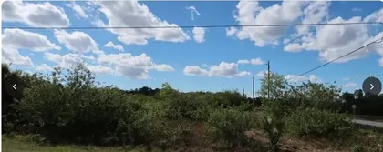 FORT MYERS FL Property
