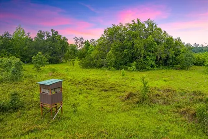LAKE CITY FL Property