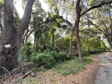 CITRA FL Property