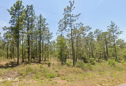 DUNNELLON FL Property