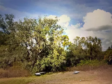 NORTH PORT FL Property